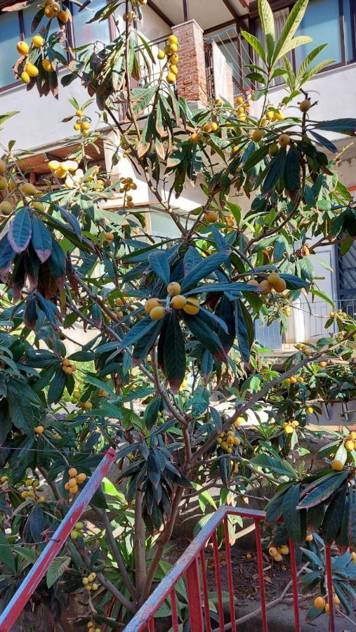 Casa Vacanze Il Nespolo Catánia Buitenkant foto